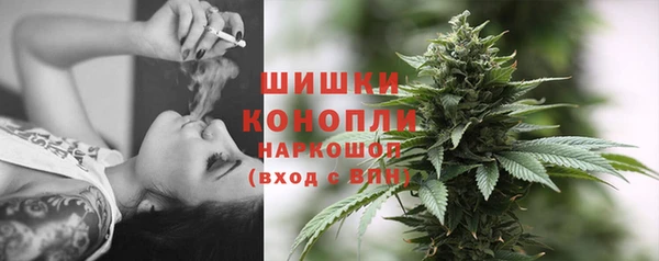 Альфа ПВП Богородицк